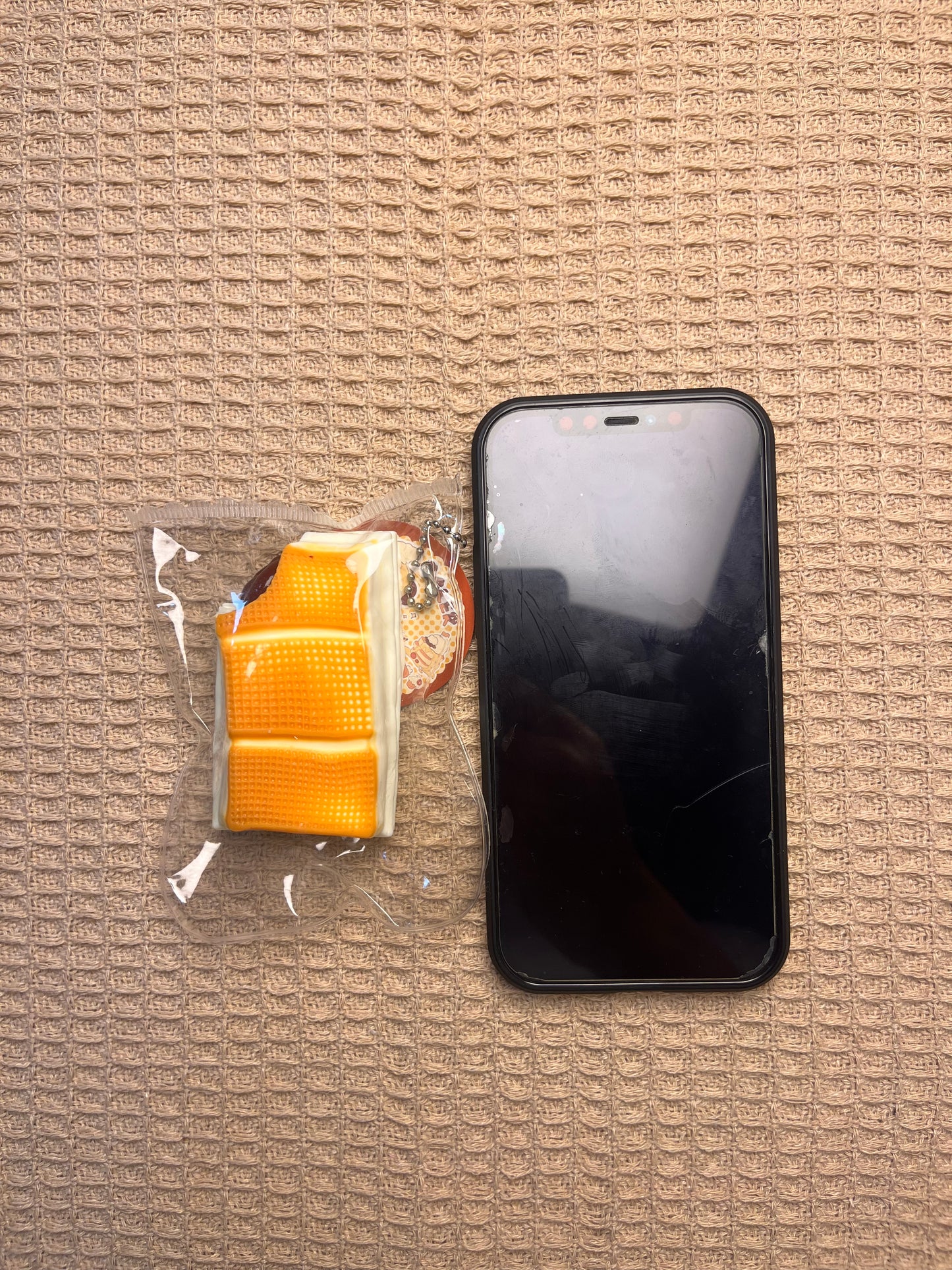 Square Egg Roll Ice Cream